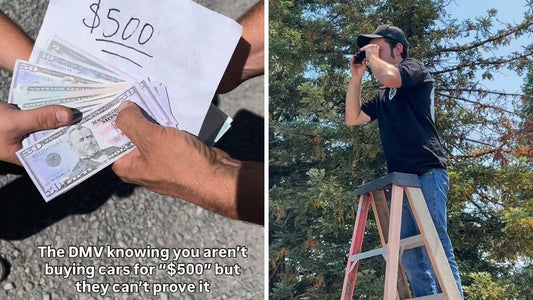 Los riesgos de mentir al DMV en California: Consecuencias legales y financieras