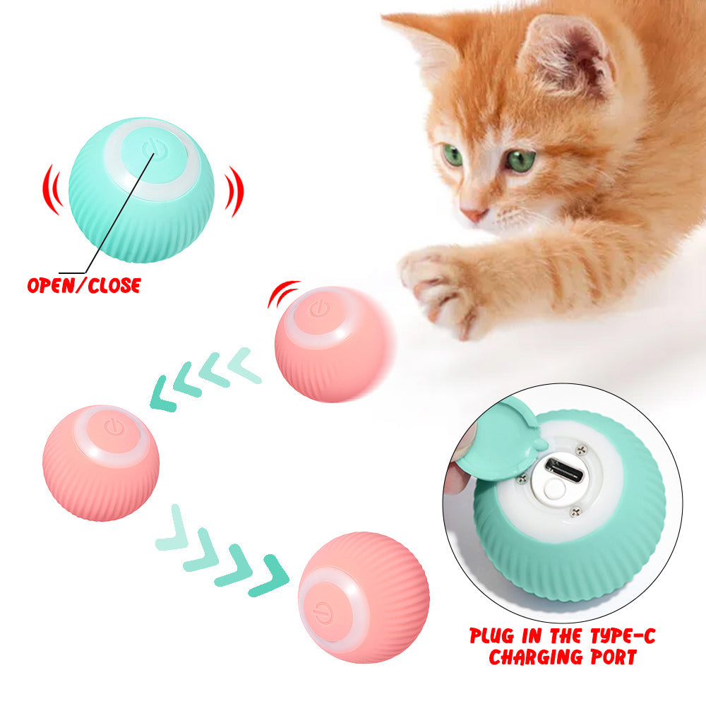 Pelota interactiva para gato