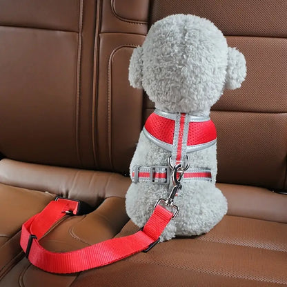 Cinturón de seguridad de mascotas para carros